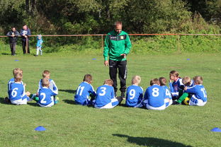 爱游戏-中国篮球教练员团队协作能力培养与管理实践，篮球教练员在团队中扮演了哪些角色