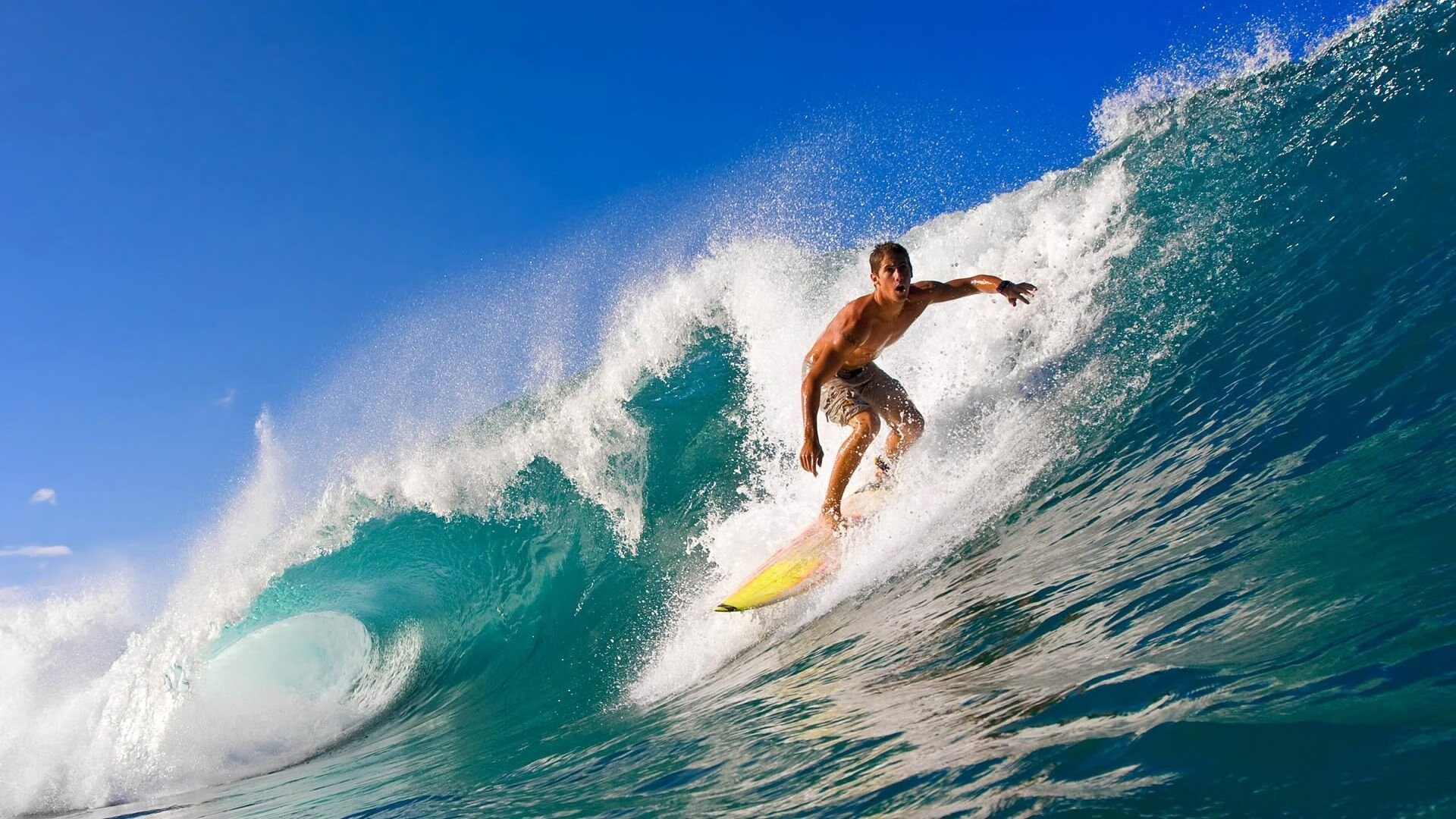 欢庆赛季结束：年度嘉年华盛大开启，嘉年华系列赛进度